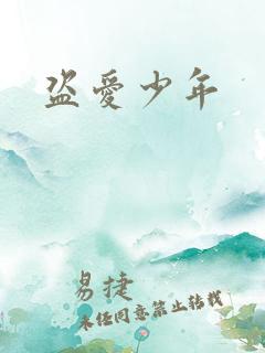 盗爱少年