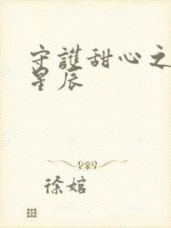 守护甜心之暗夜星辰