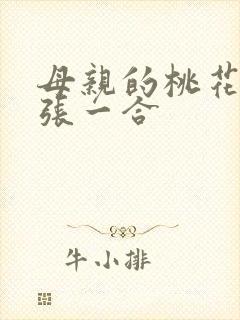 母亲的桃花源一张一合