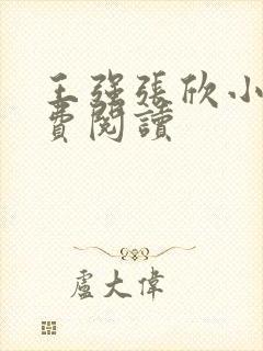 王强张欣小说免费阅读