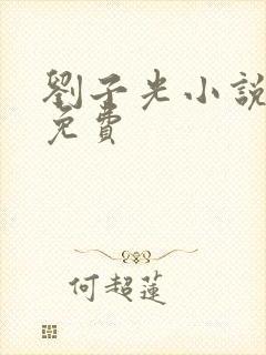 刘子光小说全文免费