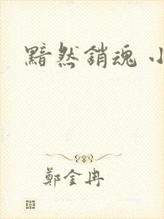 黯然销魂 小说
