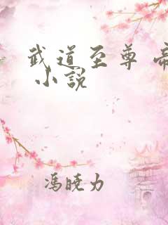 武道至尊 帝临 小说