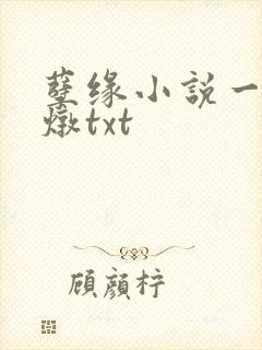 孽缘小说一家乱炖txt