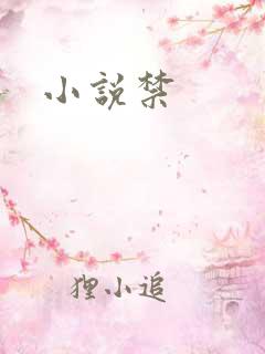 小说禁