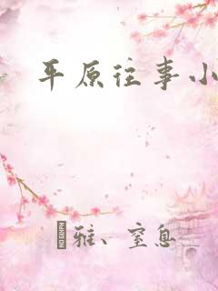 平原往事小说