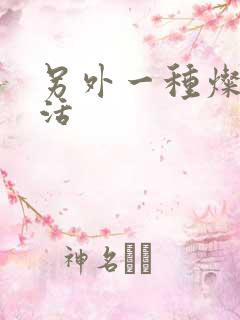 另外一种灿烂生活