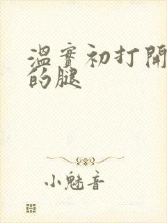 温实初打开眉庄的腿