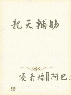 龙天辅助