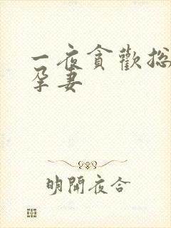 一夜贪欢总裁幸孕妻