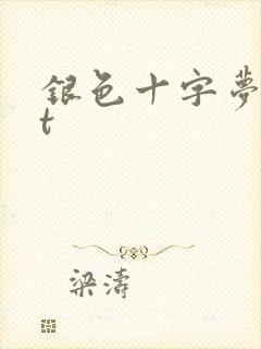 银色十字梦txt