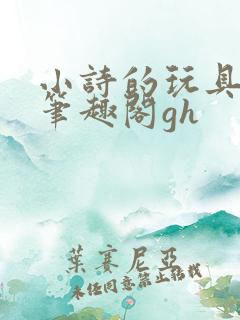 小诗的玩具日记笔趣阁gh