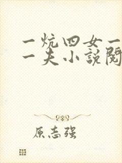 一炕四女一共侍一夫小说阅读