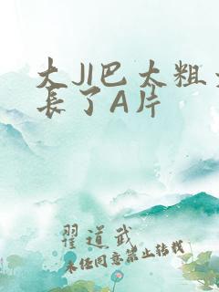 大JI巴太粗太长了A片