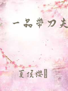 一品带刀夫人