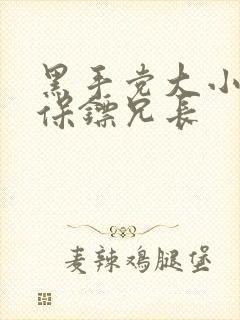 黑手党大小姐和保镖兄长