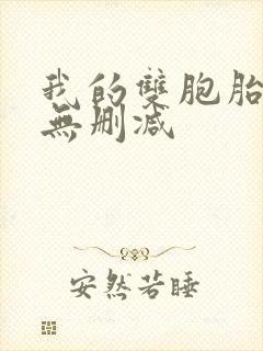 我的双胞胎老婆无删减