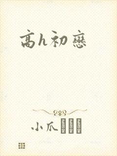 高h初恋