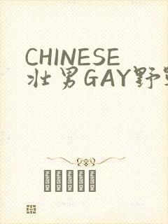 CHINESE壮男GAY野战强迫TUBE