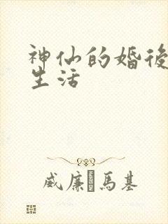 神仙的婚后都市生活