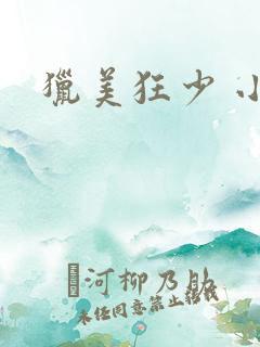 猎美狂少 小说
