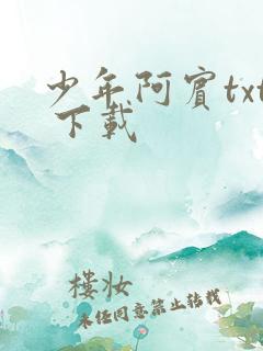 少年阿宾txt 下载