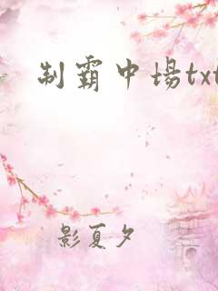 制霸中场txt