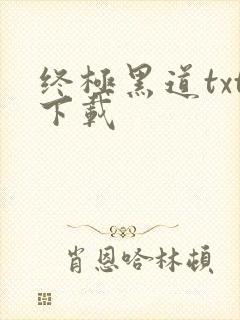 终极黑道txt下载