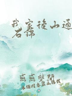 我家后山通仙界石锦