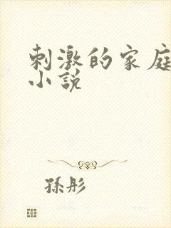 刺激的家庭乱仑小说