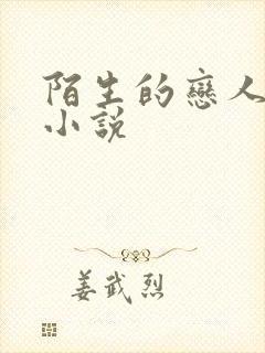 陌生的恋人原著小说