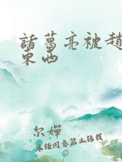 诸葛亮被赵云塞东西