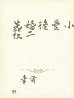 先婚后爱小说梦筱二