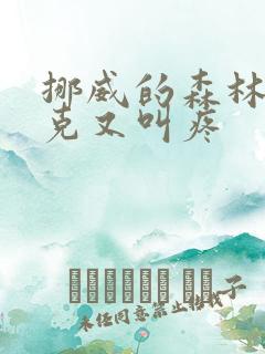 挪威的森林打扑克又叫疼