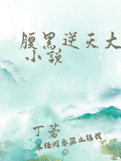 腹黑逆天大小姐 小说