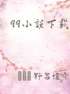99小说下载网