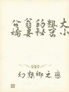 公翁的粗大放进娇妻秘密小说