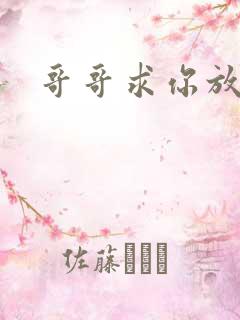 哥哥求你放了我