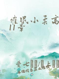 催眠小柔高达第11章