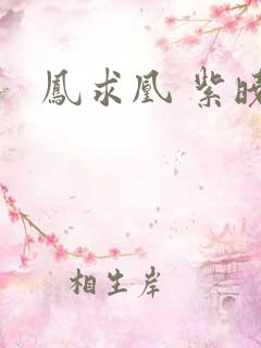 凤求凰 紫晓