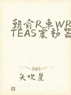 朝俞R车WRITEAS震动器