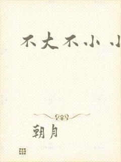不大不小 小说