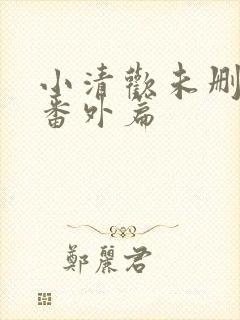 小清欢未删减版番外篇