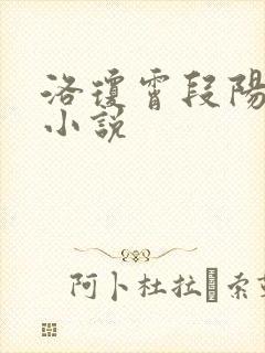洛琼霄段阳澍的小说