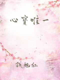 心宝唯一