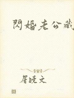 闪婚老公藏不住