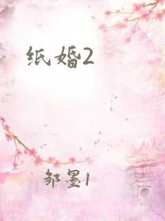 纸婚2