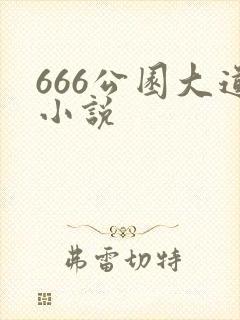 666公园大道小说