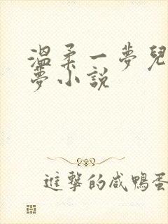 温柔一梦儿媳林梦小说