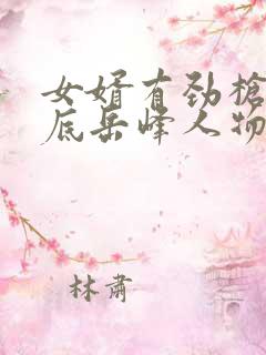 女婿有劲枪枪到底岳峰人物小说